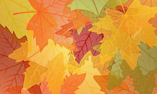 1028489 (a): :1920x1147
